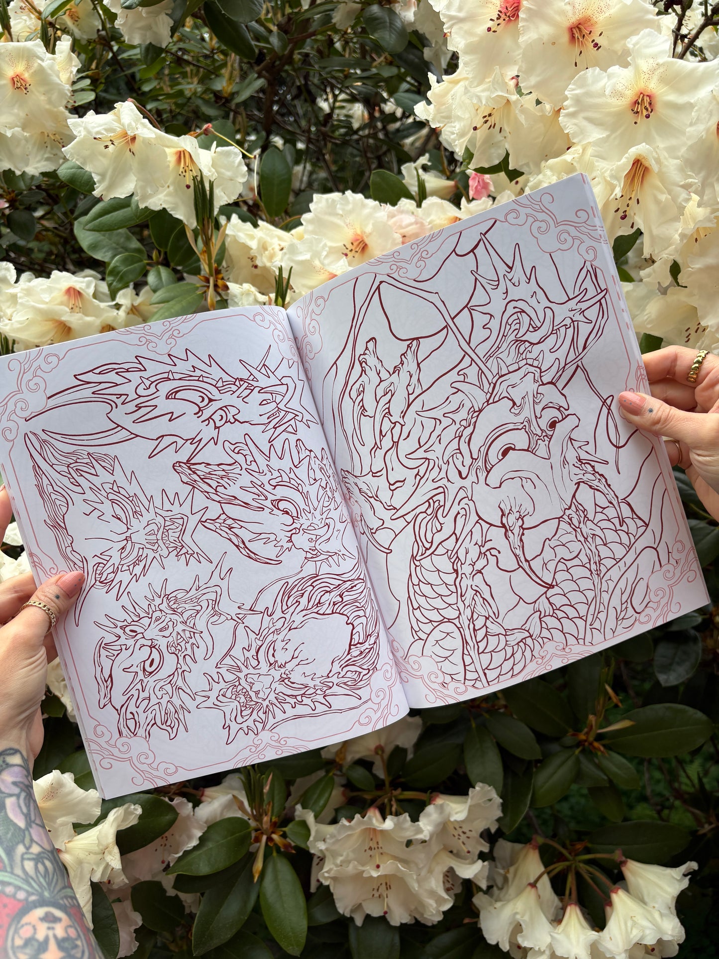 Horichou Seeing Red vol.2